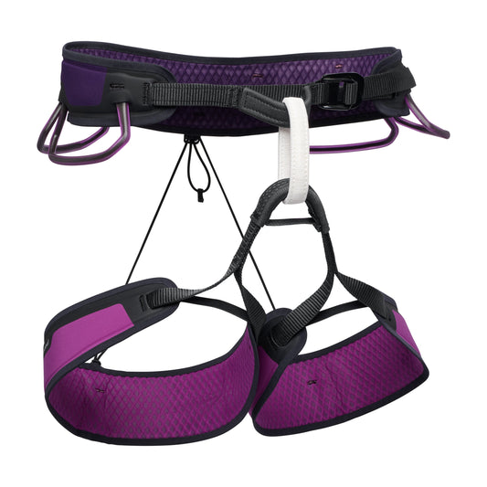 Men's Zone Harness | Black Diamond Everyday