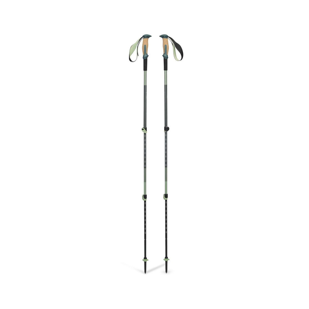 Trail Vista Shock Trekking Poles | Black Diamond Exclusive