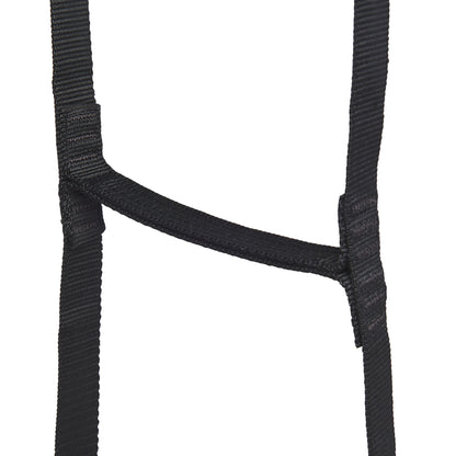 StepUp 6 Ladder | Black Diamond Everyday